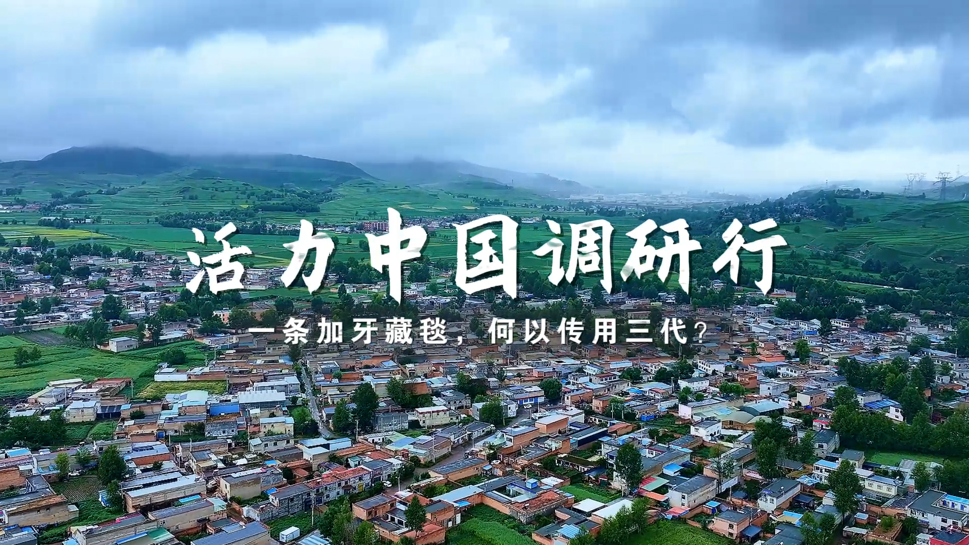 活力中國調研行 | 一條加牙藏毯，何以傳用三代？
